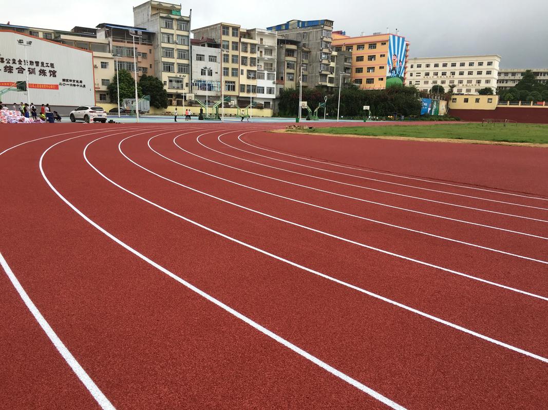 漯河市EPDM颗粒塑胶跑道材料 - 方案